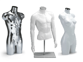 torso